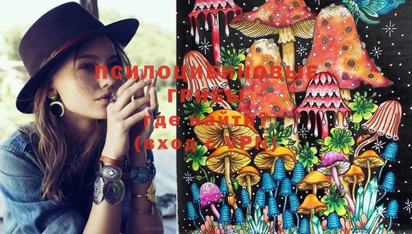 стафф Осинники