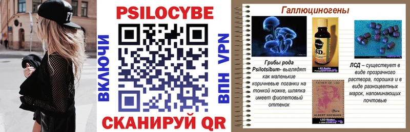 ссылка на мегу вход  Таштагол  Псилоцибиновые грибы мицелий 